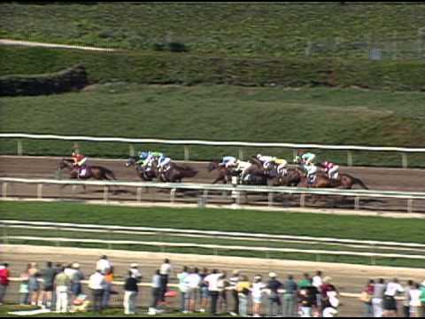1993 Breeders' Cup Juvenile