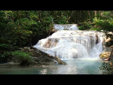 Beautiful nature Relaxing music for yoga, meditation for2021