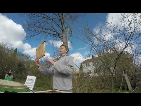 Bi kurs P2 Utökning 2021 04 25