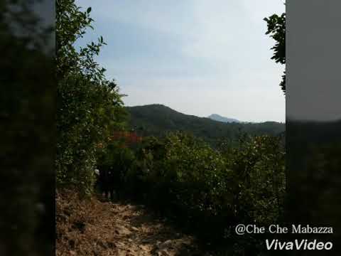 INSPIRED BY YOUR WONDERS(JW MUSIC)