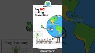 Say NO! to Frog Dissection #shorts