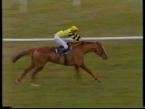 1985 Queen Mother Champion Chase Badsworth Boy + Replay