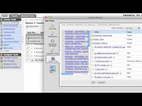 Creating A Blackboard Learning Module Part 2