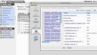 Creating a Blackboard Learning Module - Part 2