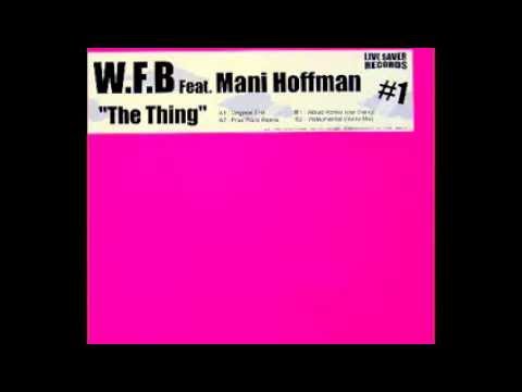 Work For Beauty Feat. Mani Hoffman - The Thing  (Prax Paris Remix) (Rare!)