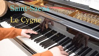Download lagu サン=サーンス 「白鳥」 (Le Cygne/Saint-Saens) ~ピアノソロ mp3 Download lagu サン=サーンス 「白鳥」 (Le Cygne/Saint-Saens) ~ピアノソロ mp3