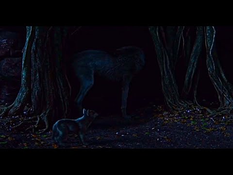 I Want Him Dead Scene (The Jungle Book 2016)