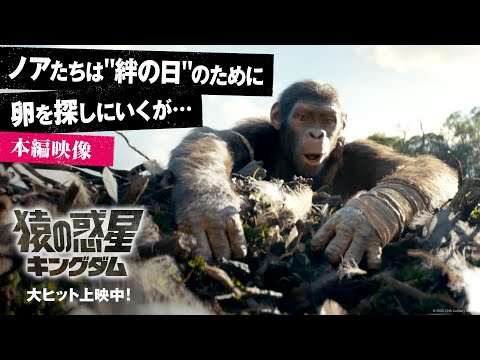本編映像〈ノアたちは"絆の日"のために卵を探しにいくが…〉（字幕版）