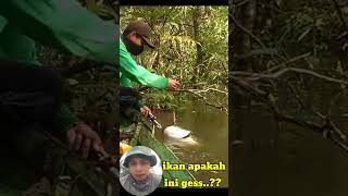 Download lagu monster sungai yang agresif #fishing #viralvideo #mancing #toman #strike #gabusbabon mp3 Download lagu monster sungai yang agresif #fishing #viralvideo #mancing #toman #strike #gabusbabon mp3
