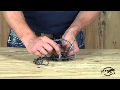 Duke #1.75 Coil Spring Off Set Foot Trap