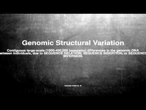 Medical vocabulary: What does Genomic Structural Variation mean