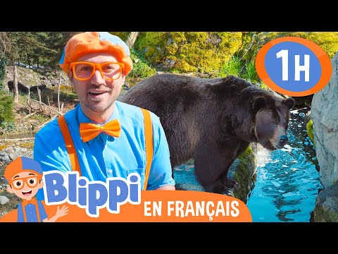 Blippi vistite un zoo | Blippi en français | Vidéos éducatives pour enfants