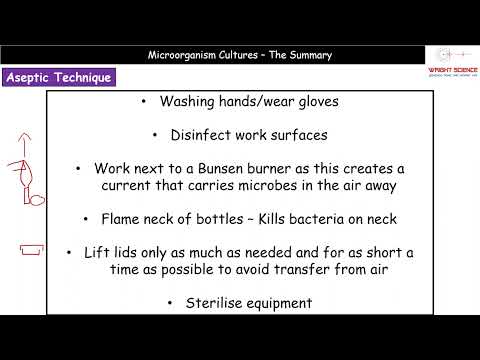 A Level Biology - 6.2.1.7 - Microorganism Cultures