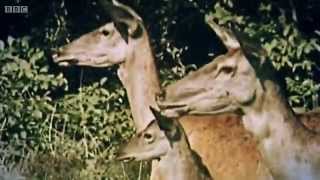 Election Wipe 2015 - Moments of Wonder: Democracy