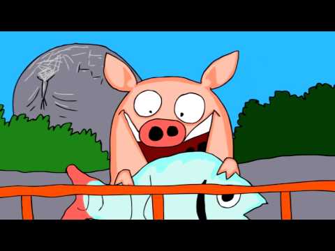 Varkentje Rund: Zeezoogdierenarts | Het Klokhuis