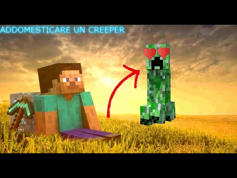 COME ADDOMESTICARE UN CREEPER IN MINECRAFT- VANILLA