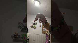 Sorry bad transition!