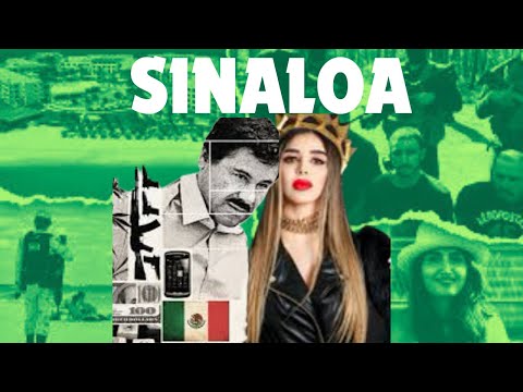 Jeta si gruaja e El Chapo-s, historia e Emma Coronel Aispuro / Cartel, në Top News
