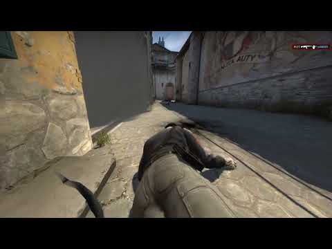 FL1T vs G2 Highlights