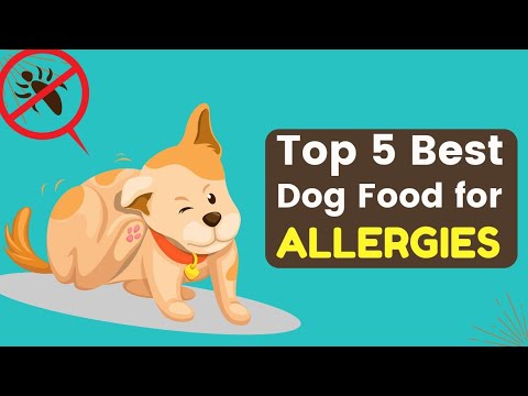 Top 5 Best Dog Foods for Allergies (Buyer’s Guide & Review)