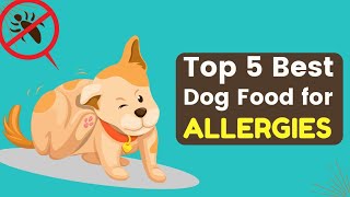Top 5 Best Dog Foods for Allergies (Buyer’s Guide & Review)