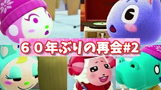 【あつ森】60年ぶりの運命の再会#2 みんなの反応がヤバイ・・・。【あつまれどうぶつの森】【ブーケ・クリスチーヌ・ちゃちゃまるなどなど】