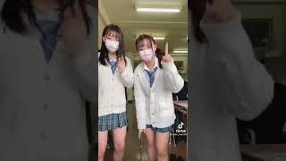 tiktok の可愛い女の子 #パンチラ#Shorts #12