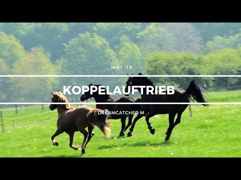 Koppelauftrieb | Mai'19