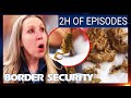 6 Episode Border Security Marathon | Australia Season 10 | Full Episodes Compilation