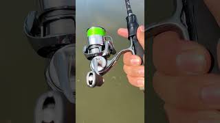 Download lagu Daiwa exist 2022 mp3 Download lagu Daiwa exist 2022 mp3