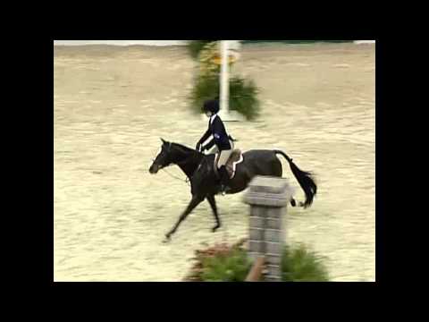 2010 WIHS - Cardelfe 122