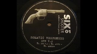 Somatic Responses - Coldforce (IDM 1997)