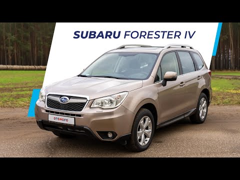 Subaru Forester IV - Już nie tylko dla leśników | Test OTOMOTO TV