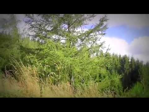 Pensiuni Cu Piscina Interioara - Cazat.ro