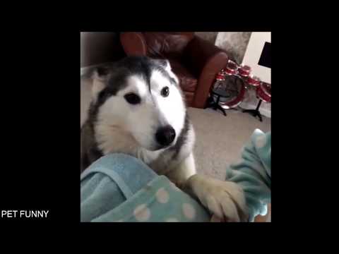 Khi những con BOSS lầy lội (Part 1)