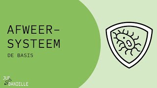 Afweersysteem: de basis