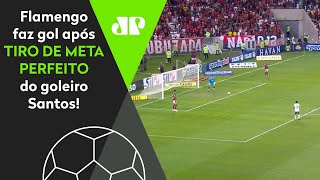 Olha o gol que o Flamengo fez após tiro de meta perfeito de Santos contra o América-MG!