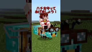 【マイクラ/アドオン紹介】このサイズのハチってきもい？【マイクラ/ゆっくり紹介】 #マイクラ #アドオン紹介 #マインクラフト
