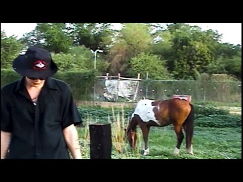 Luis Mint - B días bebé (Video Oficial)