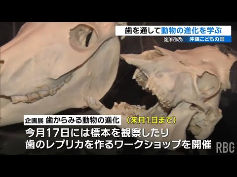 【琉球放送】RBC NEWS
