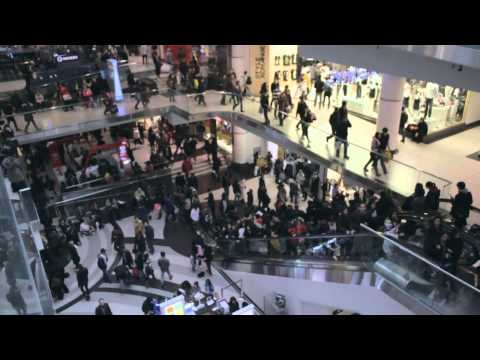 David Vangel (DVD VNGL) - DumDum