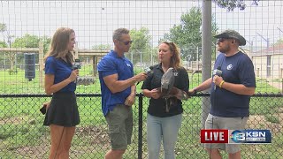 KSN Summer Road Trip at Brit Spaugh Zoo
