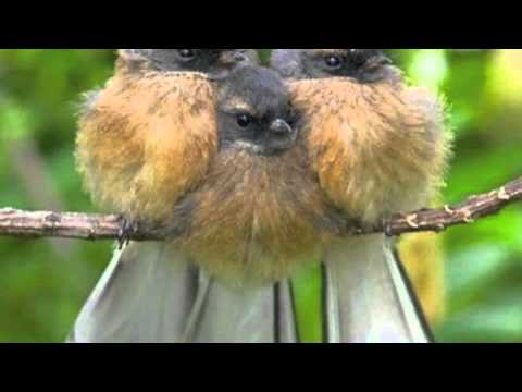 Corey Gibbons - Come Together (Pool & Club EP)