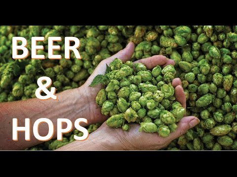 download lagu mp3 mp4 How To Brew Hops, download lagu How To Brew Hops gratis, unduh video klip How To Brew Hops