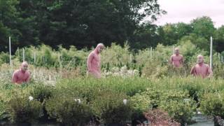 Filthy Frank/Pink Guy - STFU (clean)  -  [for classroom purposes] (censored)