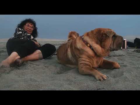 UNION FAMILY / CERTERO IMPACTO / VL.PROD