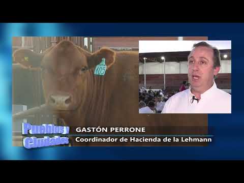 Bloque 2 - 23 de noviembre SUBASTA DE VIENTRES DE LA LEHMANN EN SANTA FE