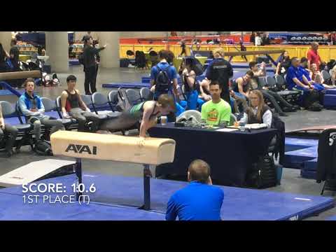 2019 02 22 B Bauer SCEGA