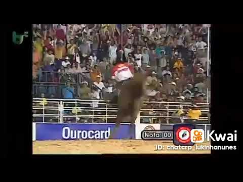 #rodeio cutiano malícia rozeta @sousagil