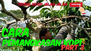 Download lagu CARA PEMANGKASAN KOPI PART 3 || TUKANG NGOPI JALAN-JALAN mp3